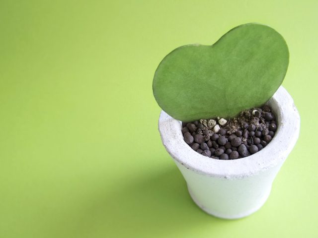 52a6d9343d936b9124557e0e239bf788_m