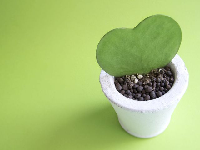 52a6d9343d936b9124557e0e239bf788_m