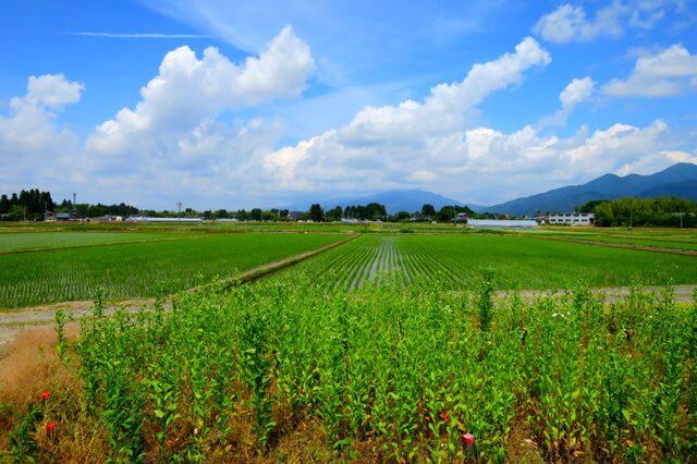市町村