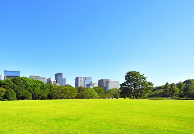原っぱと青空
