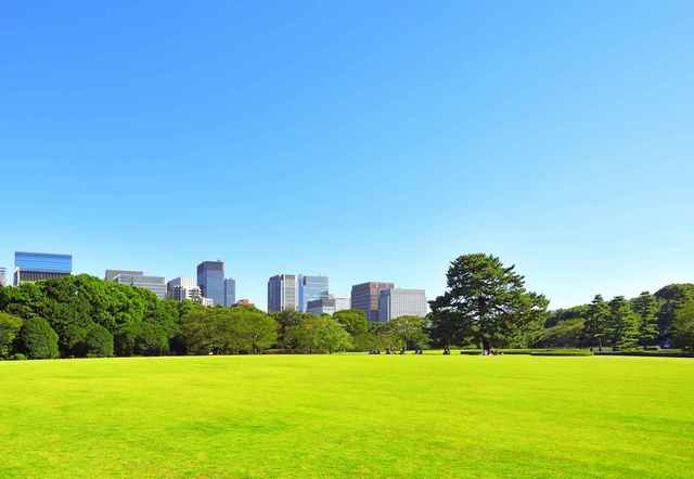 原っぱと青空
