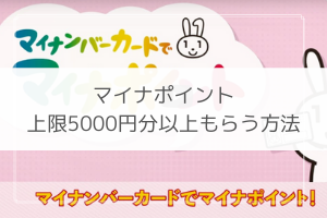 マイナポイント キャンペーン お得